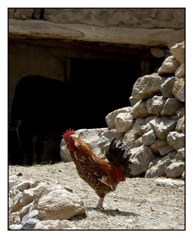 toubkal 136 (Small).jpg